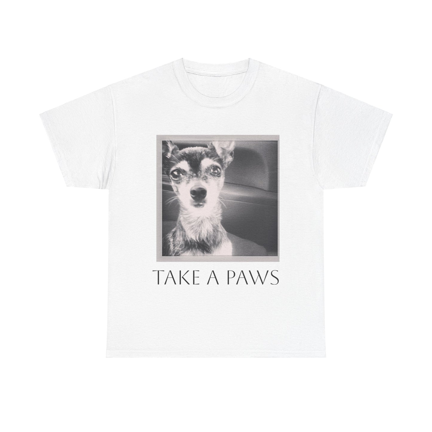 Unisex Heavy Cotton Tee 'Take a Paws'