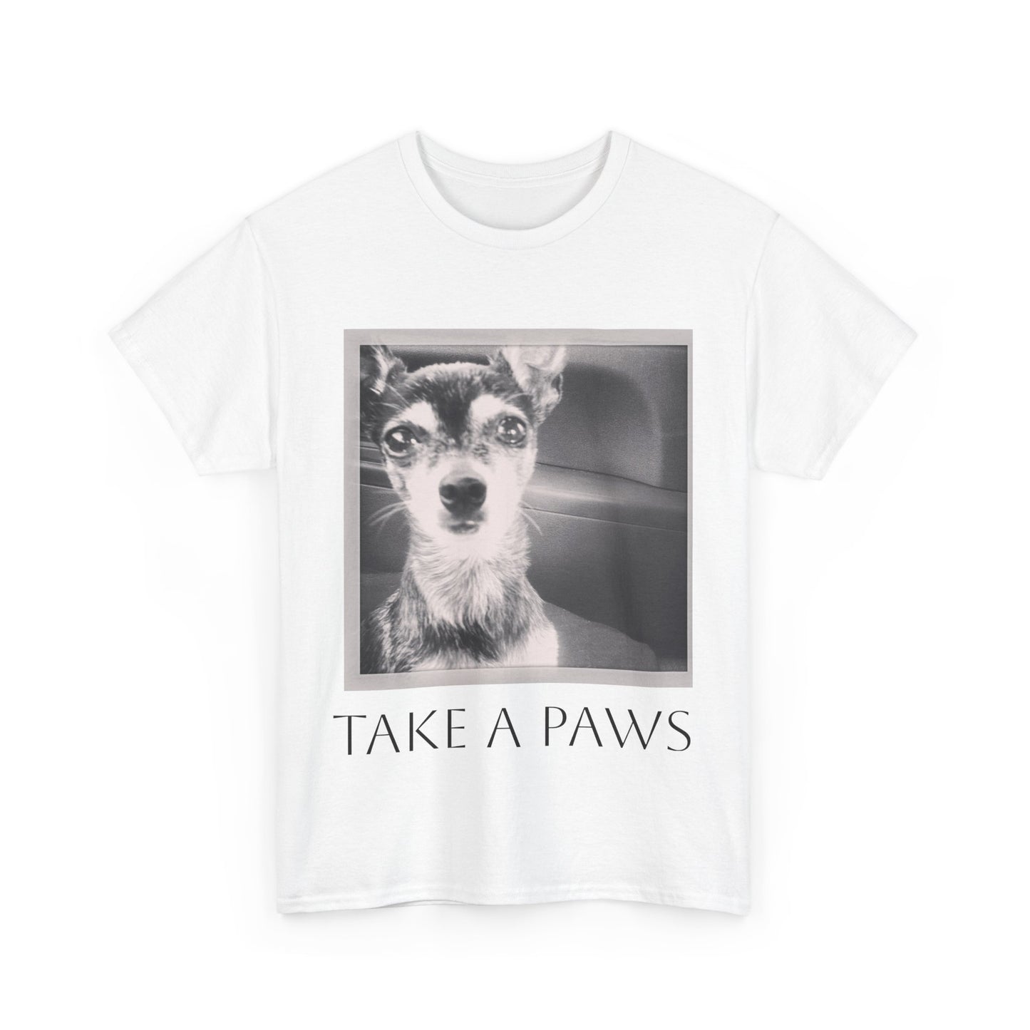 Unisex Heavy Cotton Tee 'Take a Paws'